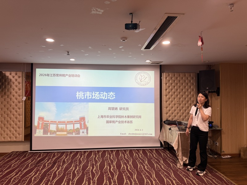 图片2.JPG